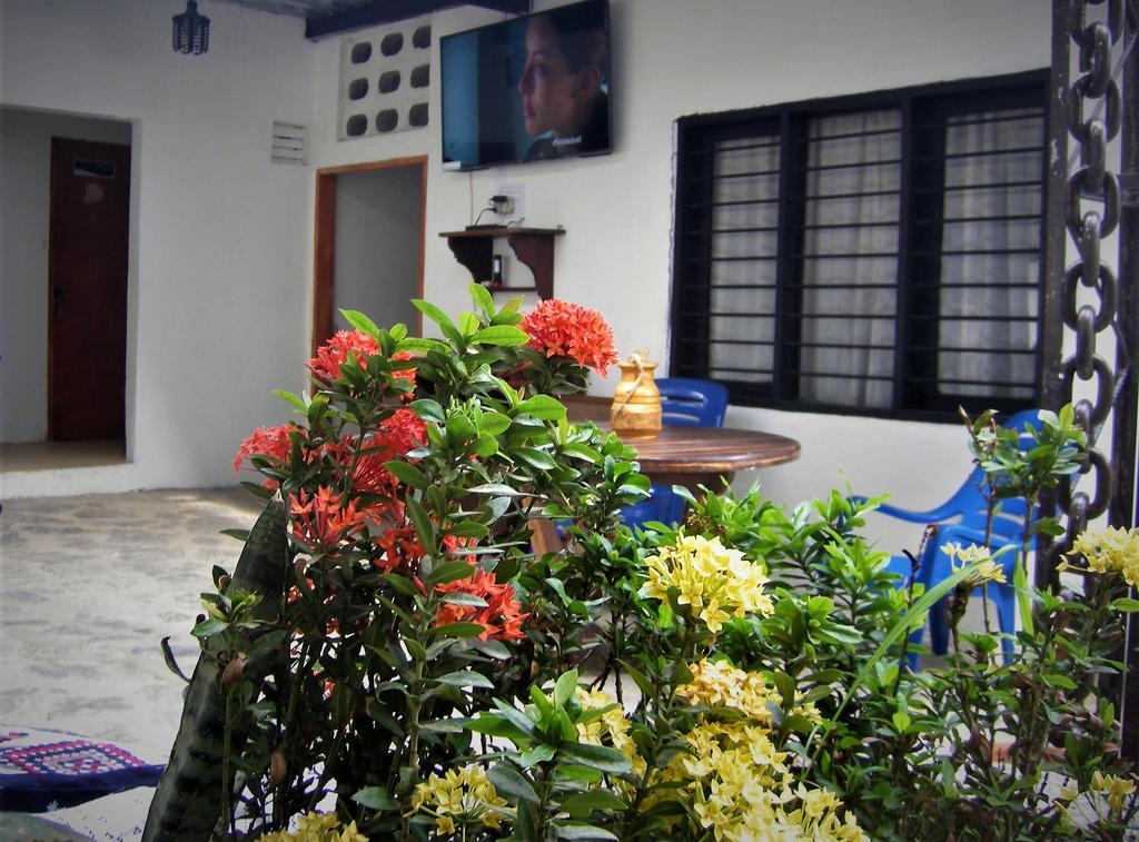 Hostal Palohe 타강가 외부 사진