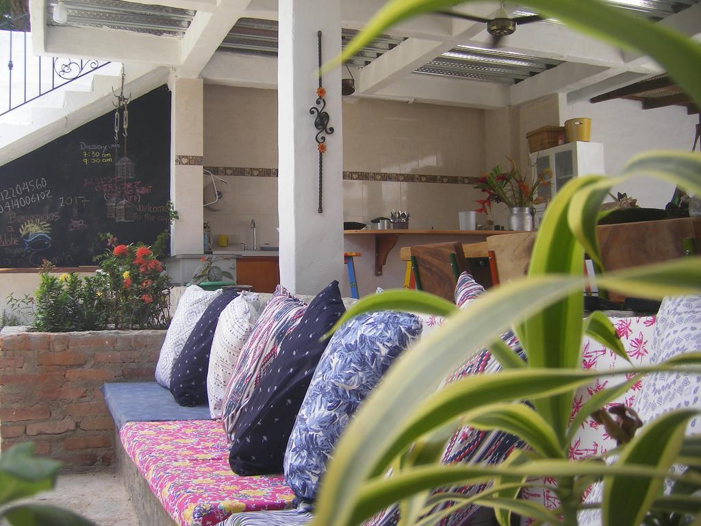 Hostal Palohe 타강가 외부 사진